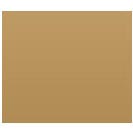 Rectangle Shape